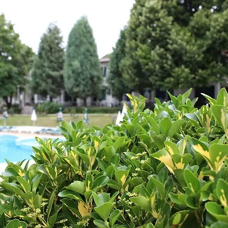 ホテル Zdravets - Free Parking 3*